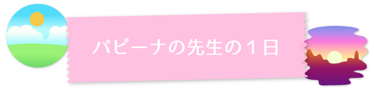 パピーナの先生の一日