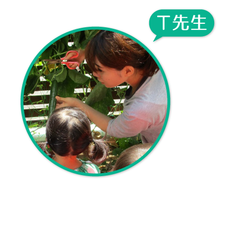 ⑥T先生